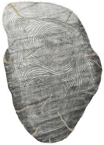 Шелковый Индийский ковер Stump №5487 233x157cm Шелковый Индийский ковер Stump №5487 233x157cm